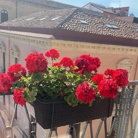 Oda ve Kahvaltı Oriental Palace Katanya