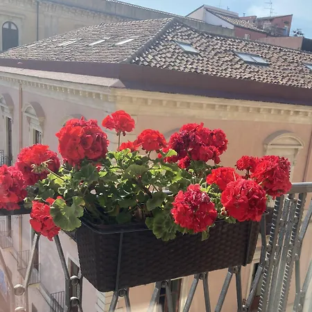 Oriental Palace Oda ve Kahvaltı