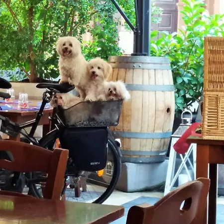 Oriental Palace 4* Katanya