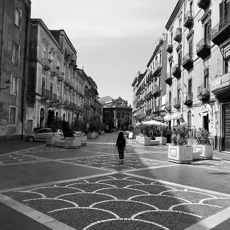 Oriental Palace Katanya