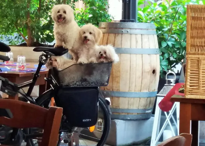 Oriental Palace 4* Catánia